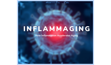 Inflammaging: How Inflammation Accelerates Aging